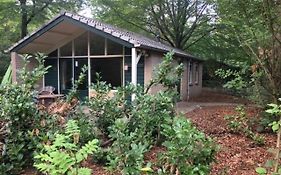 Vakantiebungalow De Schaapskooi