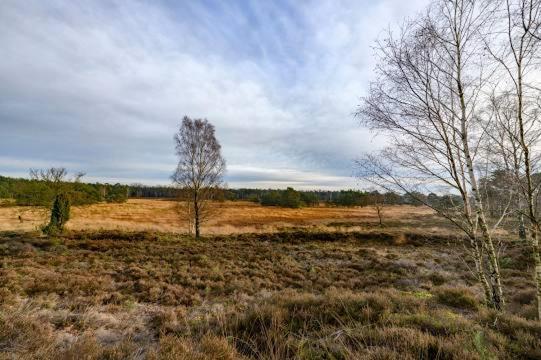 Vakantiebungalow De Schaapskooi Epe Buitenkant foto